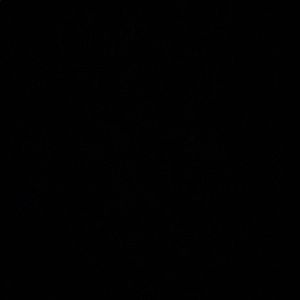 Meet your Posher, Logan